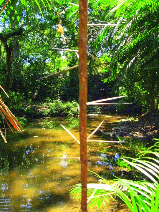 costa river
