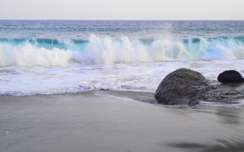 DSCF0966
