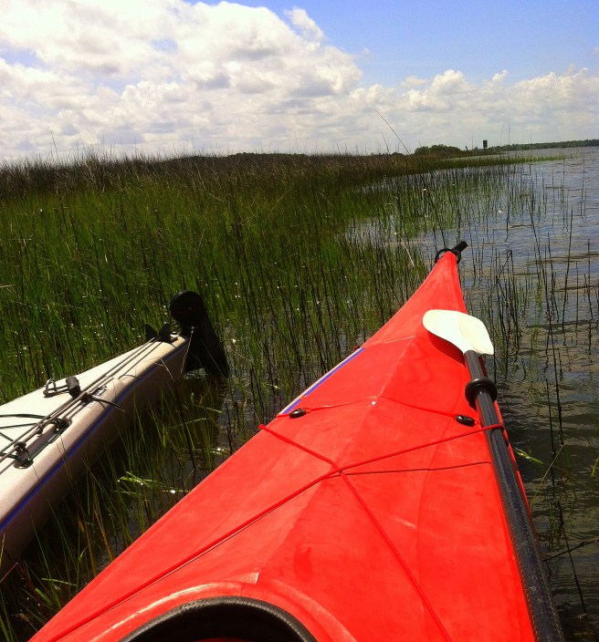 In the Reeds