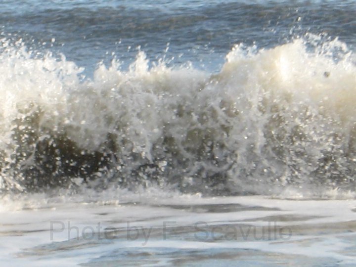 ocean
