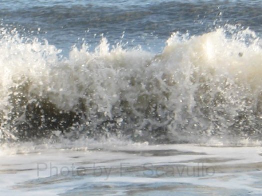 ocean