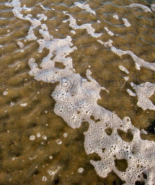 suds